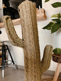 Cactus Fez